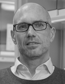 Matthias Drosten (Organising Comittee)